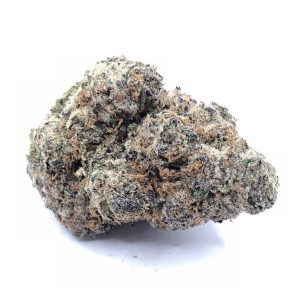 Lemon Cherry Gelato