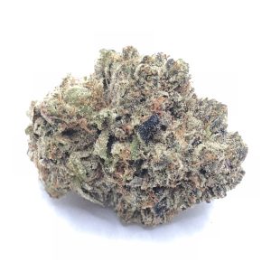 Mochi aka Gelato 47