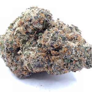 Mochi aka Gelato 47