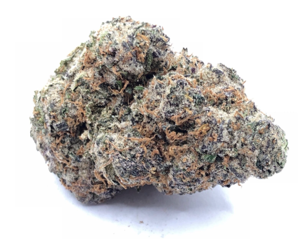 Mochi aka Gelato 47