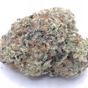 Gelato #33