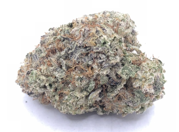 Gelato #33